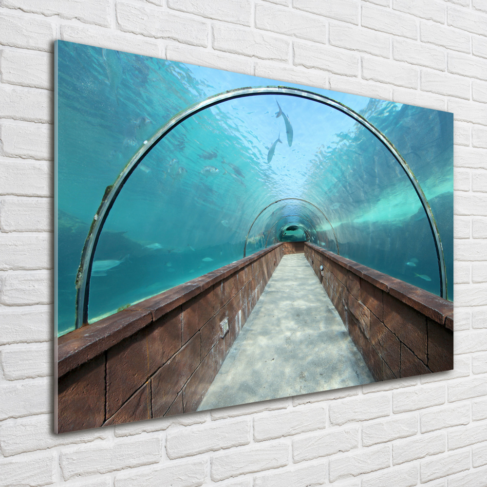 Tableau verre imprimé Tunnel aquarium