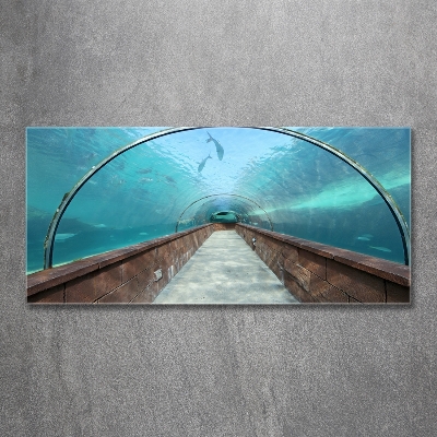 Tableau verre imprimé Tunnel aquarium