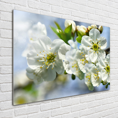 Tableau verre imprimé Fleur de cerisier