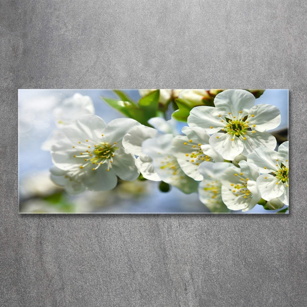 Tableau verre imprimé Fleur de cerisier