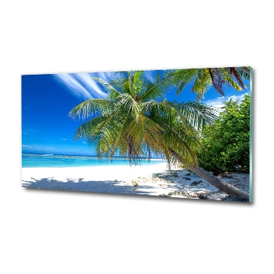 Tableau sur verre Plage exotique