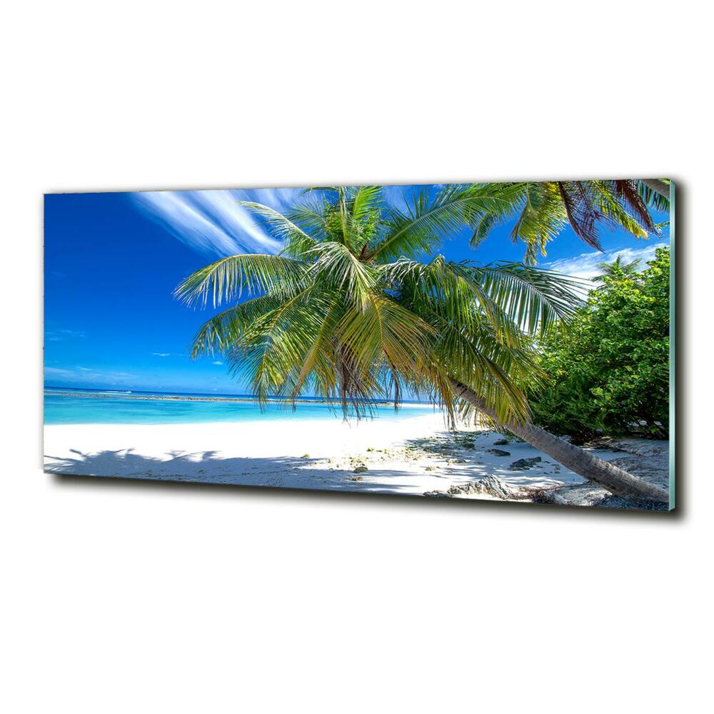 Tableau sur verre Plage exotique