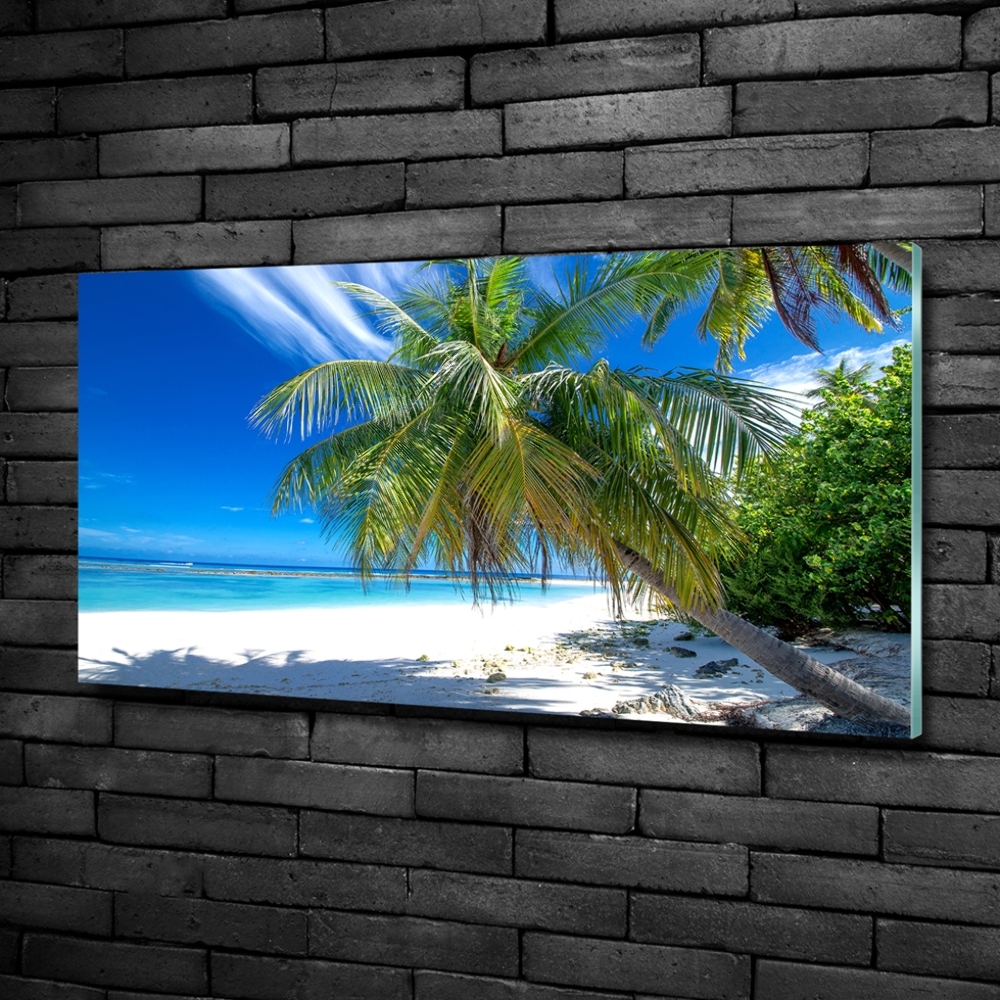 Tableau sur verre Plage exotique