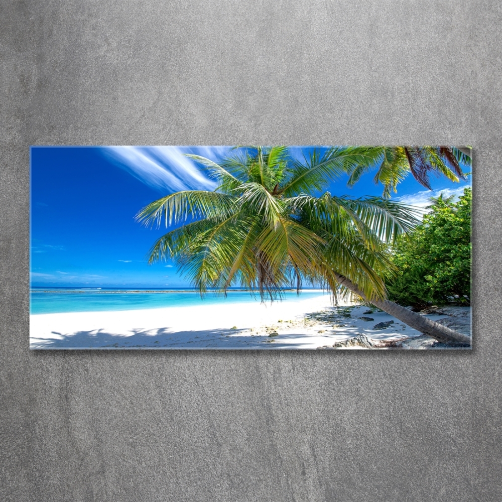 Tableau sur verre Plage exotique