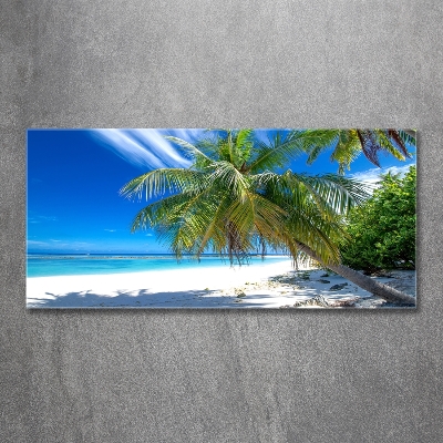 Tableau sur verre Plage exotique