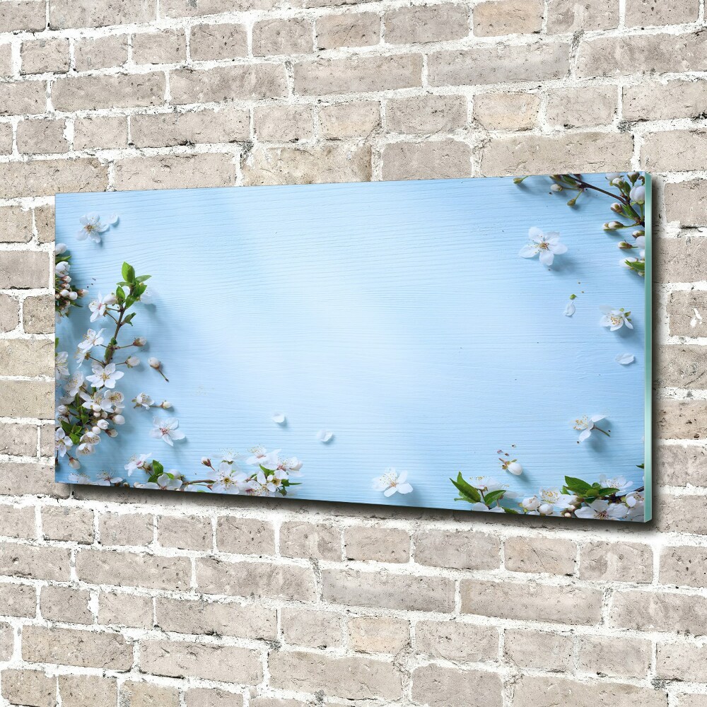 Tableau photo sur verre Fond de fleurs de cerisier