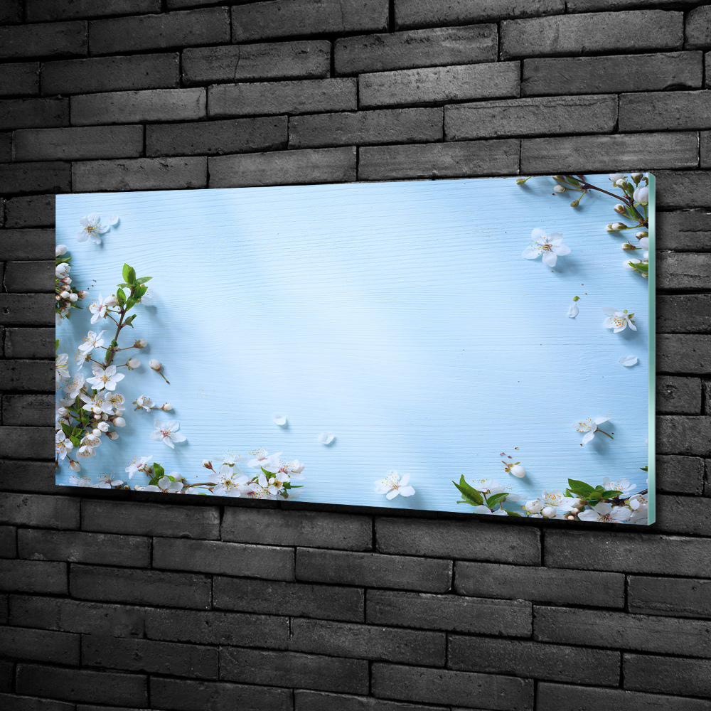 Tableau photo sur verre Fond de fleurs de cerisier