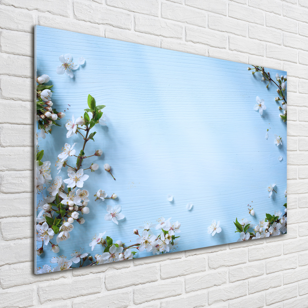 Tableau photo sur verre Fond de fleurs de cerisier