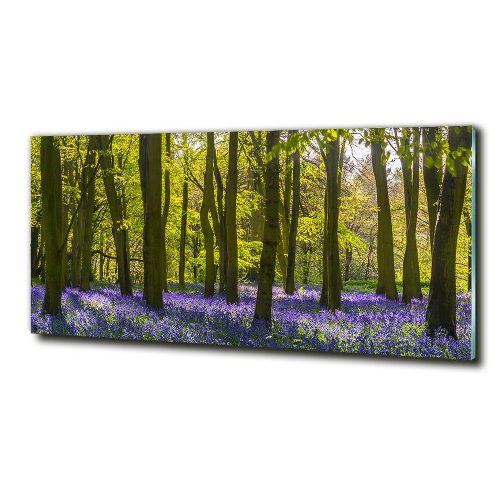 Tableau verre imprimé Forêt au printemps