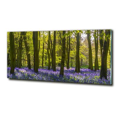 Tableau verre imprimé Forêt au printemps