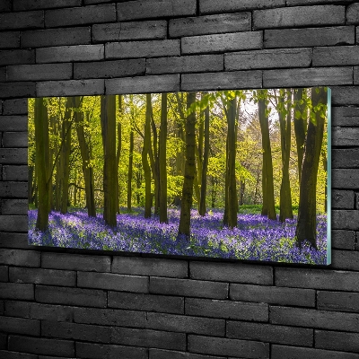 Tableau verre imprimé Forêt au printemps