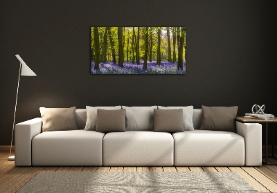 Tableau verre imprimé Forêt au printemps