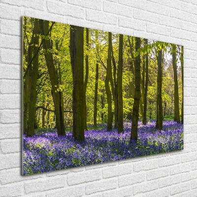 Tableau verre imprimé Forêt au printemps