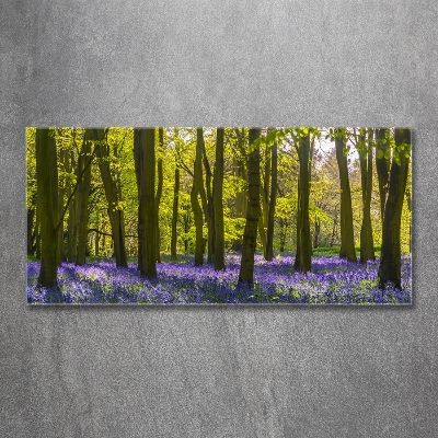 Tableau verre imprimé Forêt au printemps