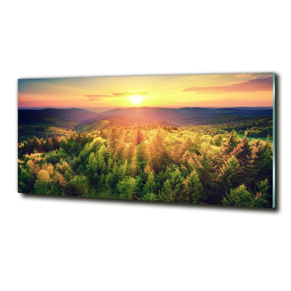 Tableau imprimé sur verre Forêt au coucher du soleil