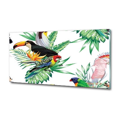 Tableau sur verre Oiseaux tropicaux