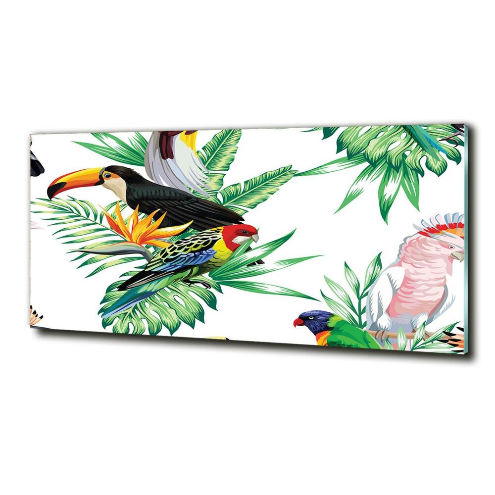 Tableau sur verre Oiseaux tropicaux