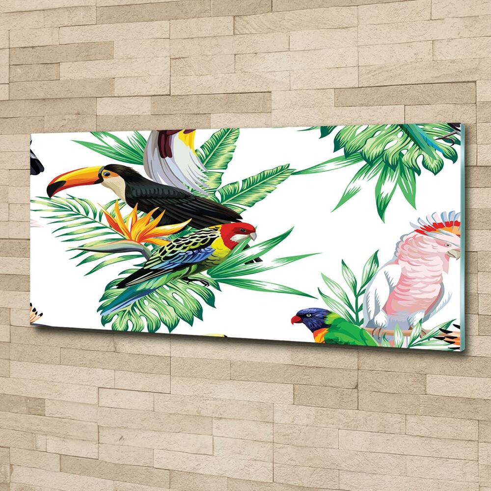 Tableau sur verre Oiseaux tropicaux