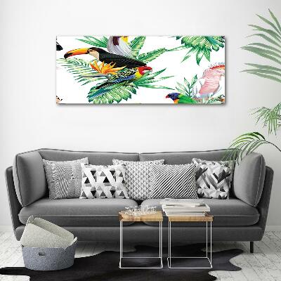 Tableau sur verre Oiseaux tropicaux