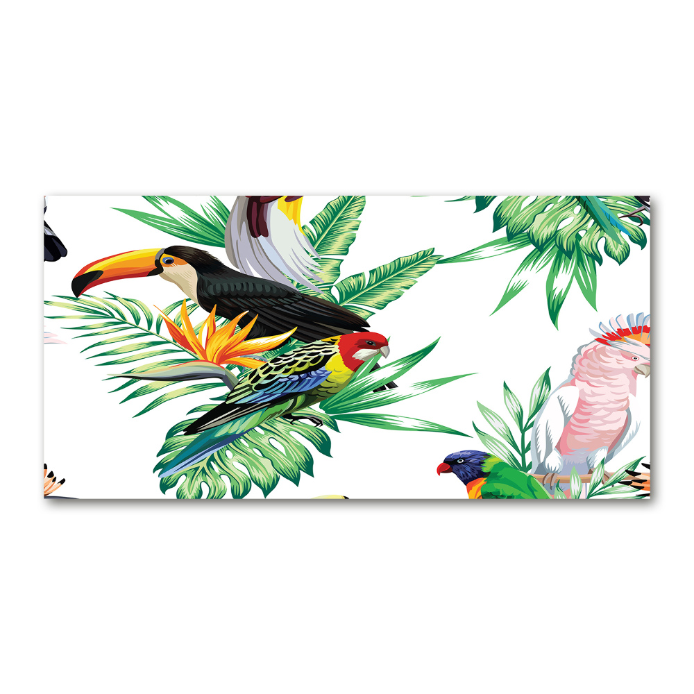 Tableau sur verre Oiseaux tropicaux