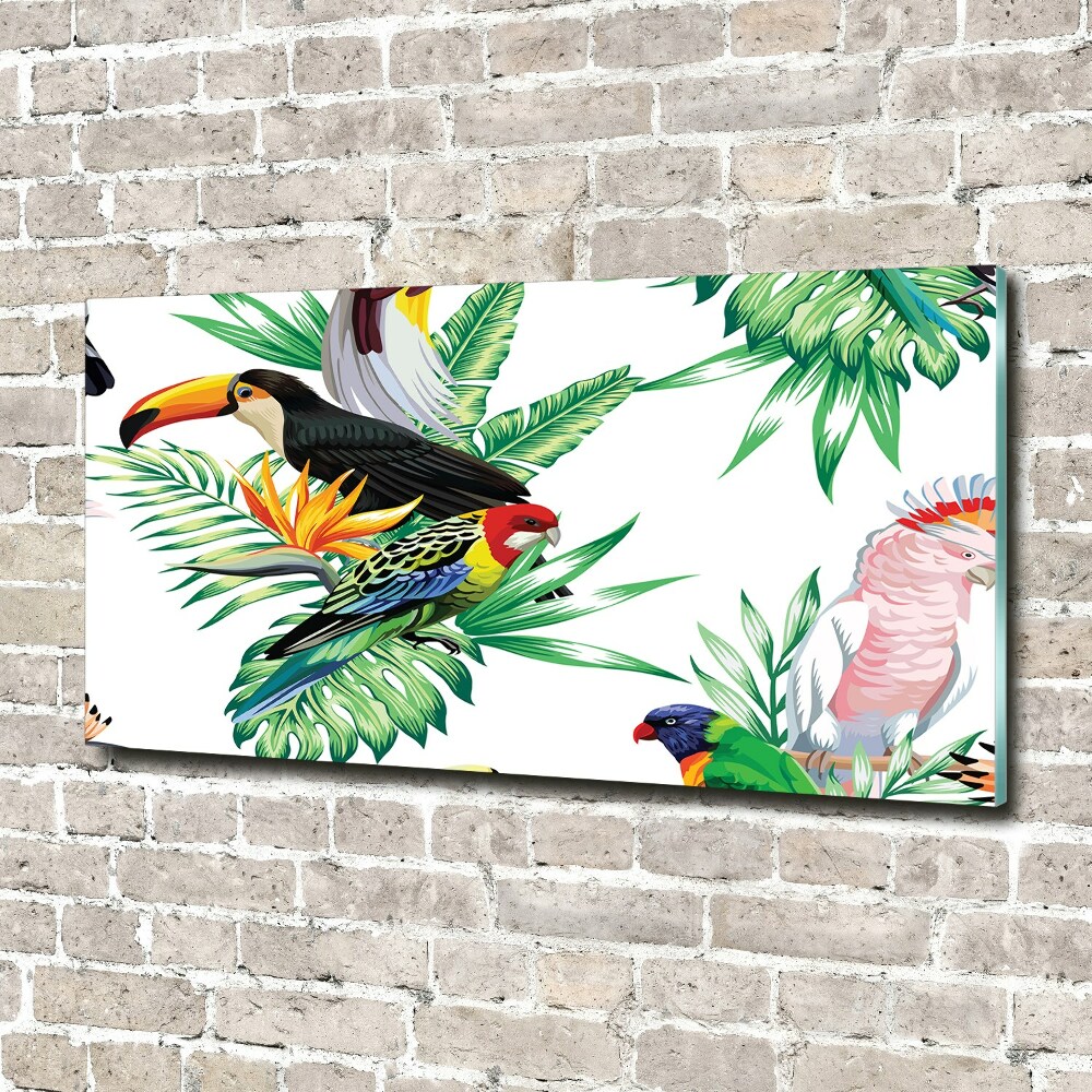 Tableau sur verre Oiseaux tropicaux