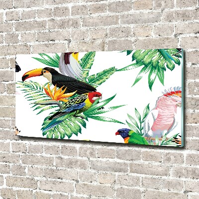 Tableau sur verre Oiseaux tropicaux