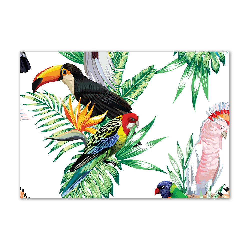 Tableau sur verre Oiseaux tropicaux