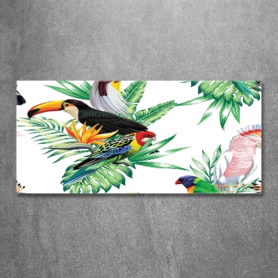 Tableau sur verre Oiseaux tropicaux