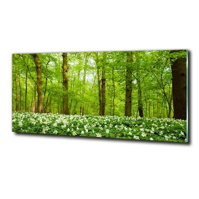 Tableau imprimé sur verre Fleurs en forêt