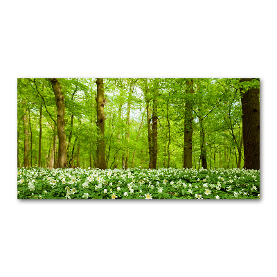 Tableau imprimé sur verre Fleurs en forêt