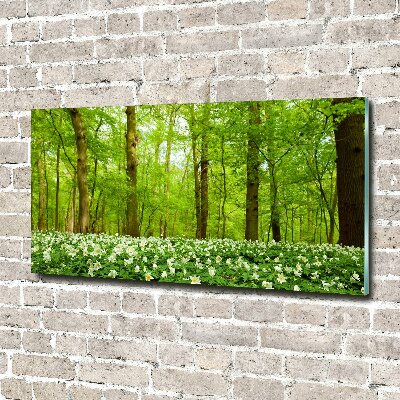 Tableau imprimé sur verre Fleurs en forêt