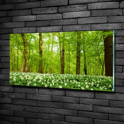 Tableau imprimé sur verre Fleurs en forêt