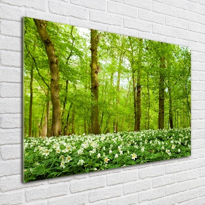 Tableau imprimé sur verre Fleurs en forêt