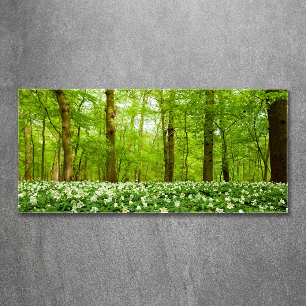 Tableau imprimé sur verre Fleurs en forêt