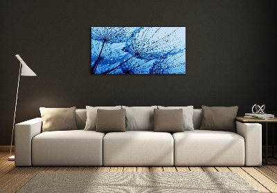 Tableau en verre Graine de bouffi rosée