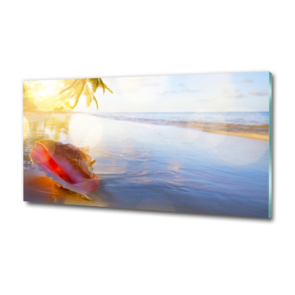 Tableau photo sur verre Coquillage sur la plage