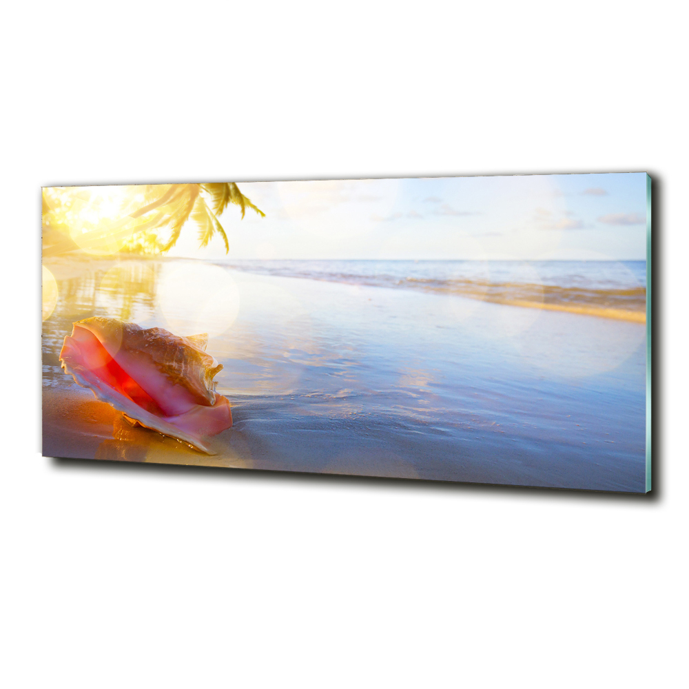 Tableau photo sur verre Coquillage sur la plage