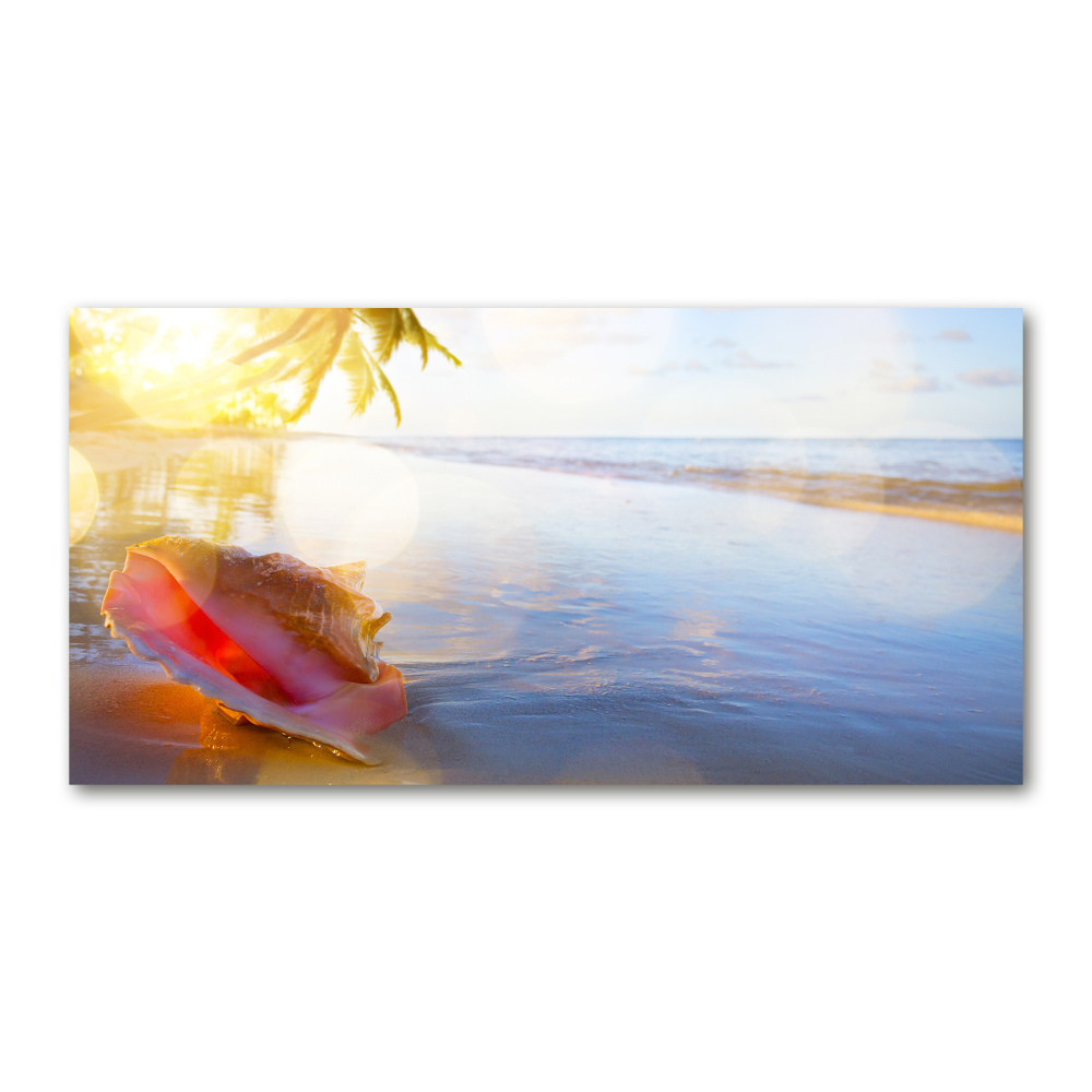 Tableau photo sur verre Coquillage sur la plage