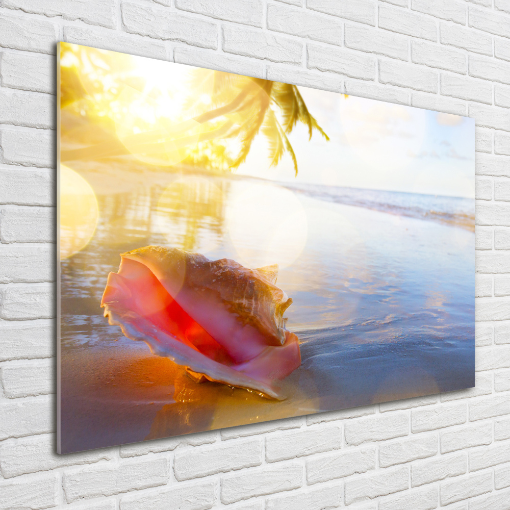 Tableau photo sur verre Coquillage sur la plage