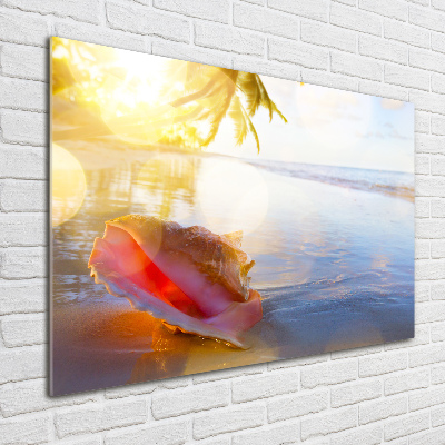 Tableau photo sur verre Coquillage sur la plage