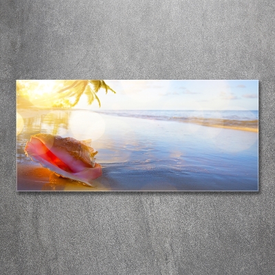 Tableau photo sur verre Coquillage sur la plage