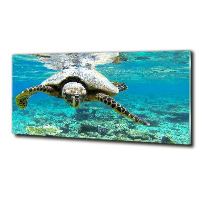 Tableau en verre Tortue de mer