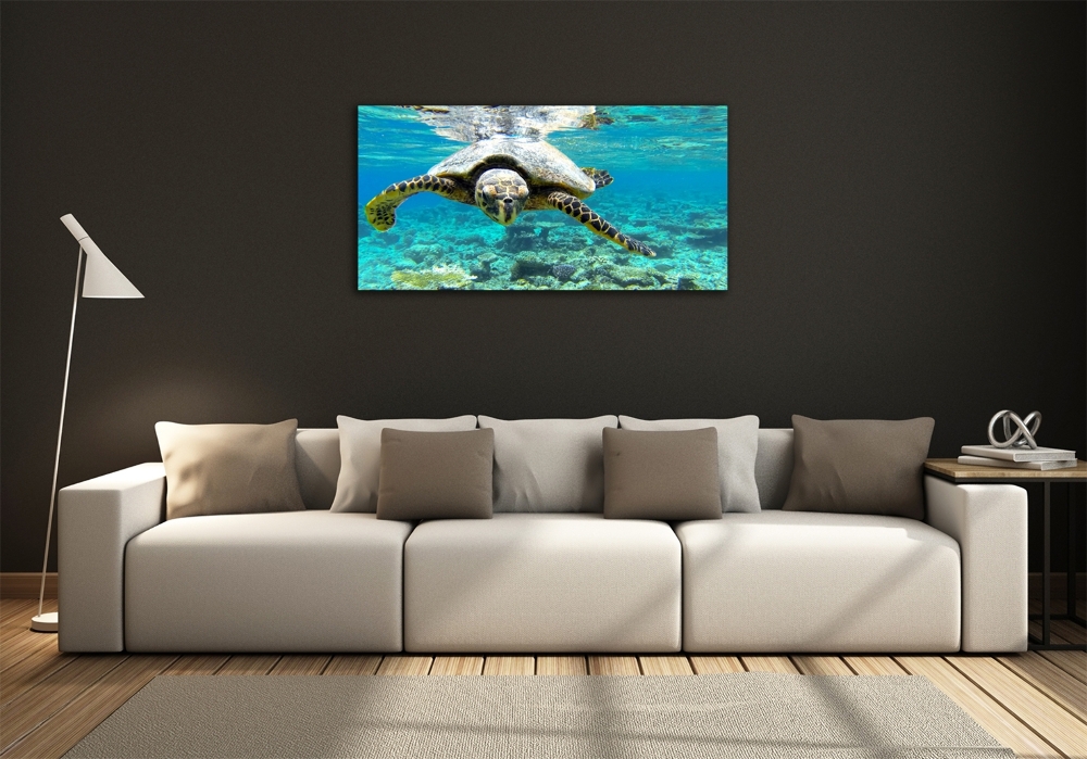 Tableau en verre Tortue de mer