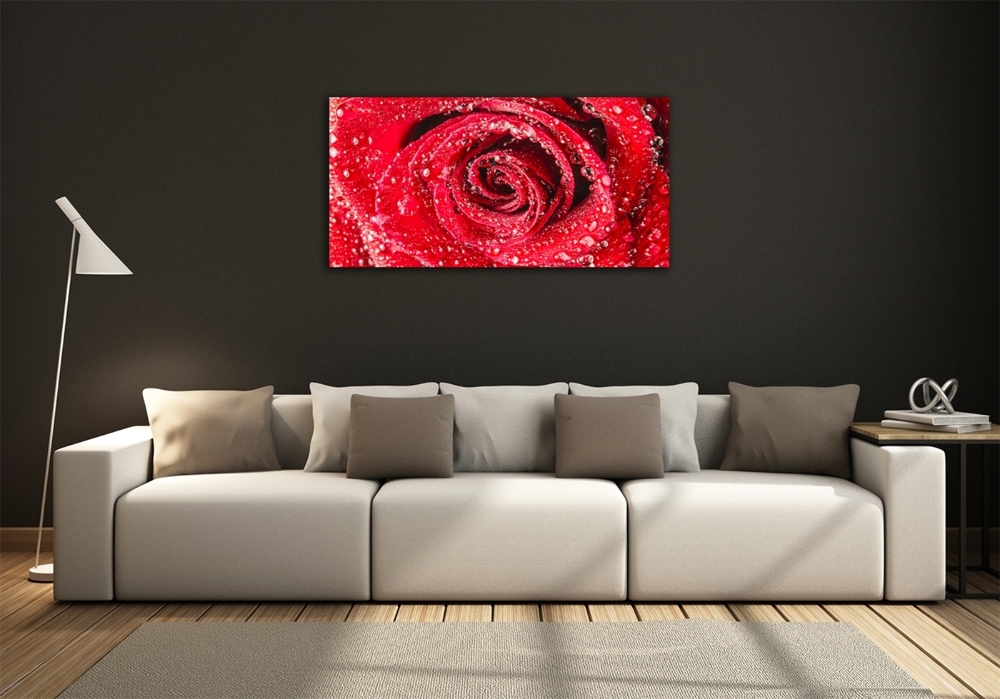 Tableau photo sur verre Gouttes d'eau sur une rose