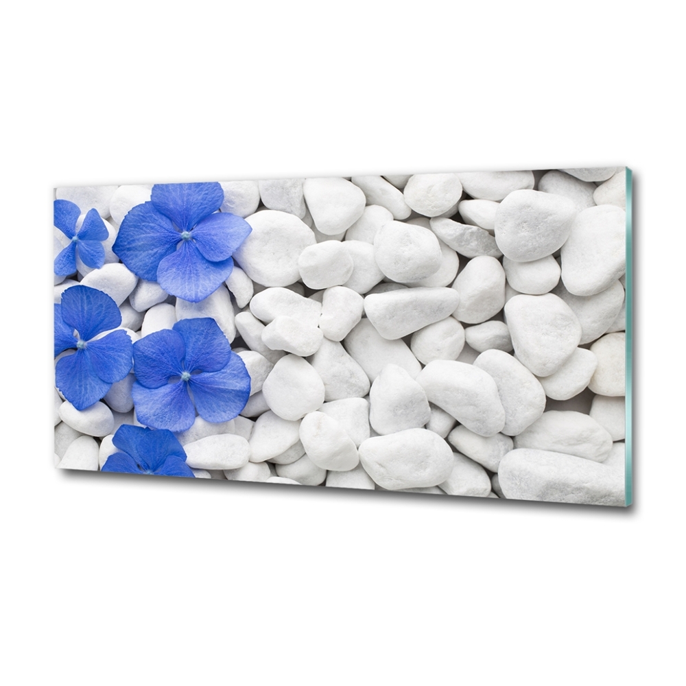 Tableau sur verre Hortensia