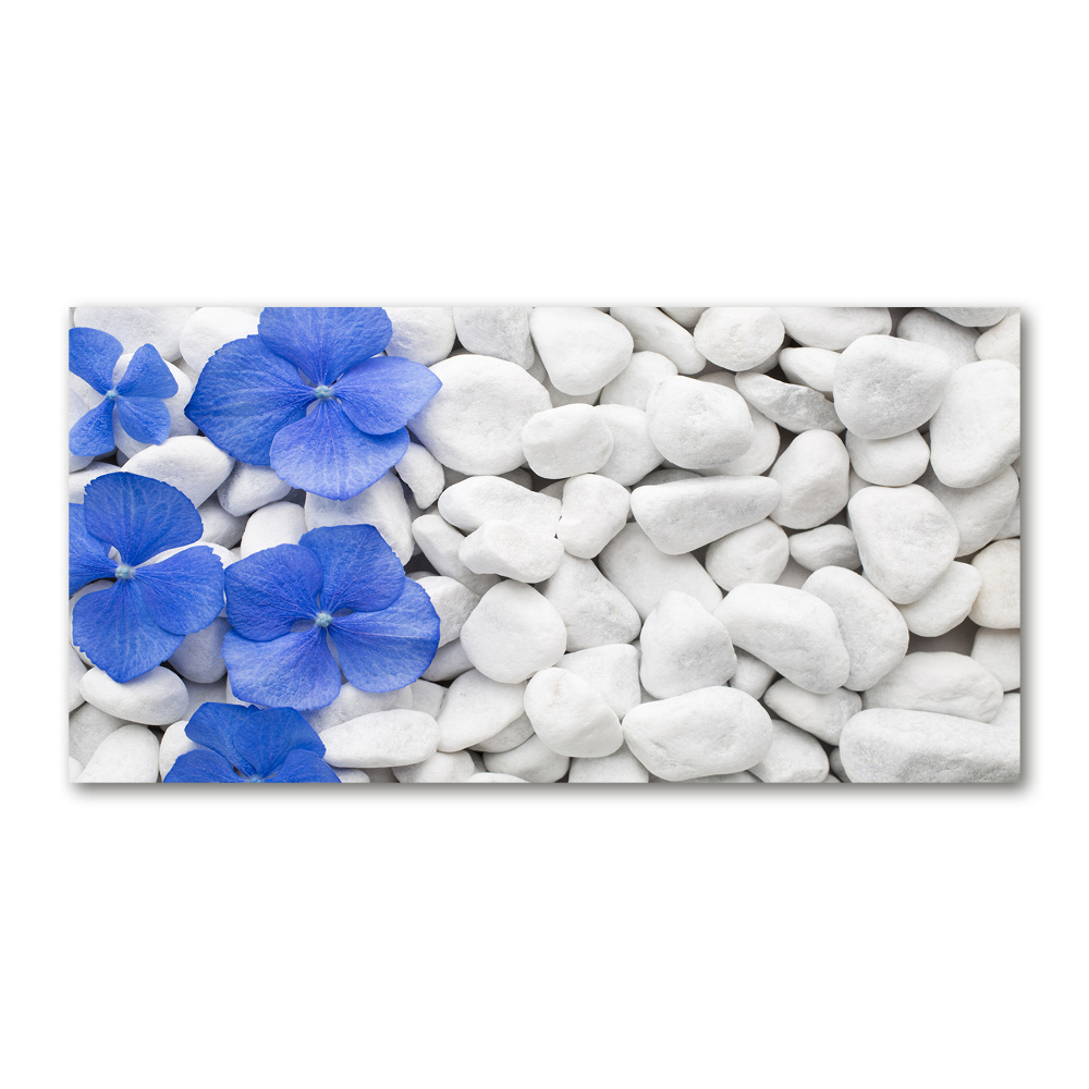 Tableau sur verre Hortensia