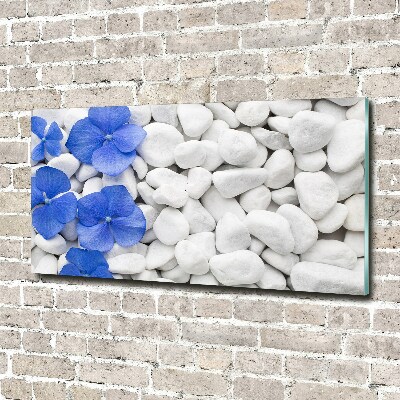 Tableau sur verre Hortensia