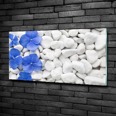 Tableau sur verre Hortensia