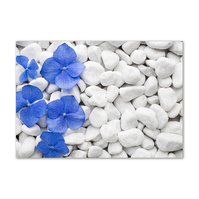 Tableau sur verre Hortensia