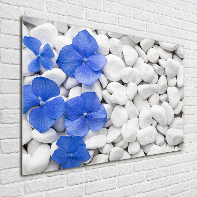 Tableau sur verre Hortensia